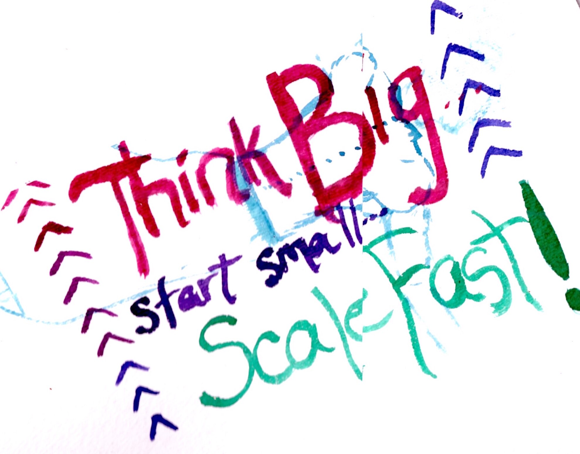 Think Big, Start Small, Scale Fast